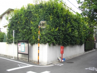 東京・田園調布 庭の手入れ:その1