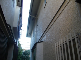 東京・田園調布　　庭の手入れ：その５