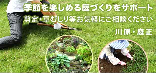 楽天市場】YARD FORCE 電動 人工芝クリーナー 【 芝の手入れ 人工芝 メンテナンス 掃除機 屋外 芝生 ブラシ ガーデン用品 しばふ  芝ブラシ 掃除 落ち葉 枯草 外掃除 芝生掃除 芝生クリーナー 掃除機 】 : やさしさＯＮ-ＬＩＮＥ